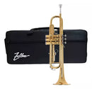TROMPETE ZELLMER LAQUEADO SIB COM CASE E BOCAL