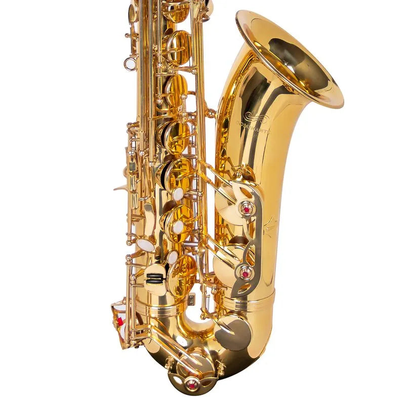 SAX TENOR DOMINANTE LAQUEADO SIB COM CASE