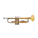 TROMPETE DOMINANTE LAQUEADO SIB COM CASE