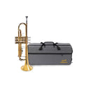 TROMPETE DOMINANTE LAQUEADO SIB COM CASE