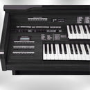 Órgão Harmonia HS 95 - Preto