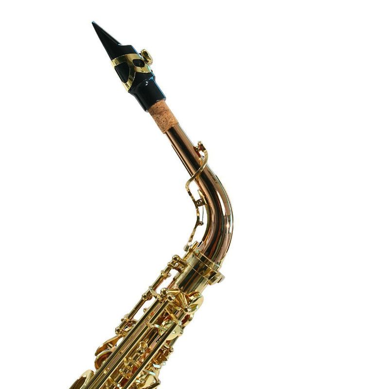 SAX ALTO SEBASTIAN SSA-AX818QSN