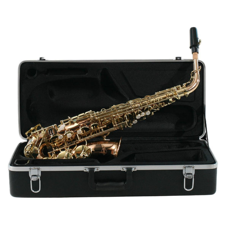 SAX ALTO SEBASTIAN SSA-AX818QSN