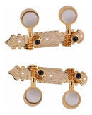 TARRAXA PINO GROSSO CAVACO 4 CORDAS - DOURADO 