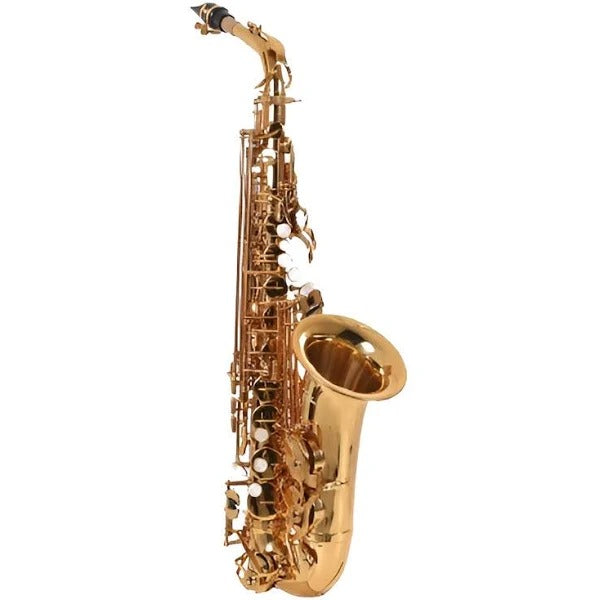Sax Alto Corpo e Chaves Dourado c/ Estojo e Acessórios Zellmer