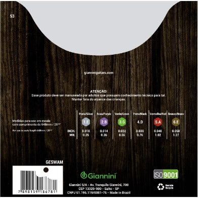 ENCORDOAMENTO VIOLAO GIANNINI BRONZE 65/35 0.010