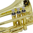 TROMBONE DE PISTO SIB LONGO NY