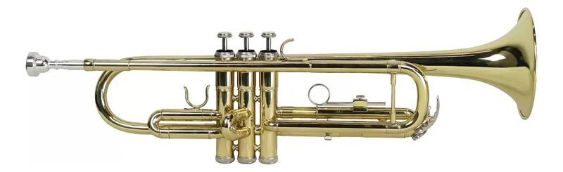 TROMPETE HARLEM SOUND LAQUEADO BB